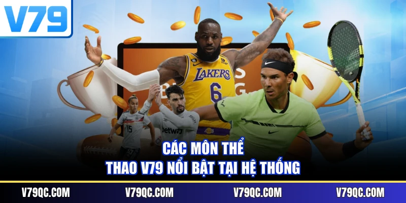Các môn thể thao V79 nổi bật tại hệ thống