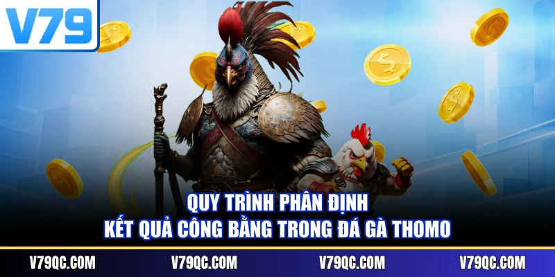 Quy trình phân định kết quả công bằng trong đá gà Thomo