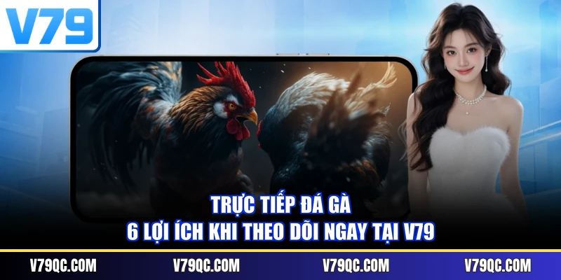 Trực Tiếp Đá Gà - 6 Lợi Ích Khi Theo Dõi Ngay Tại V79