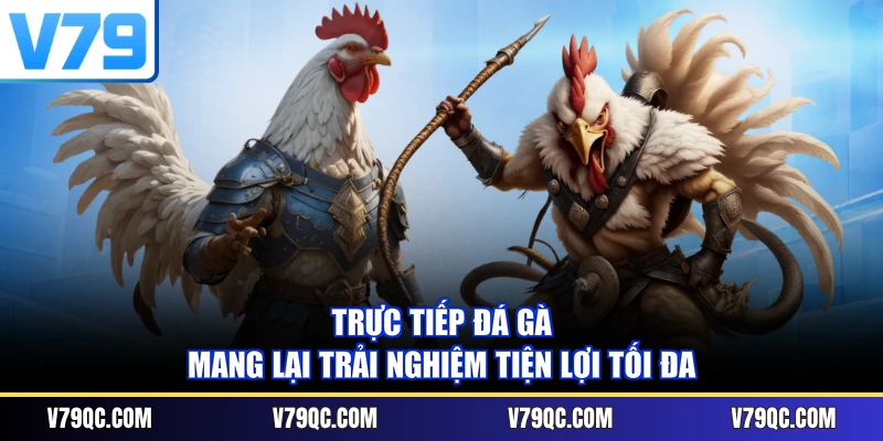 Trực tiếp đá gà mang lại trải nghiệm tiện lợi tối đa